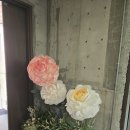 [쏭카페] 구석구석 예쁜 공간+포토존 #새라울