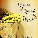 날마다좋은날 이미지