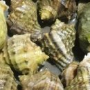 햇빛펜션 이미지