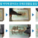 고흥신발 이미지