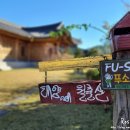 태양아래월출산 이미지