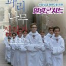 파리나무십자가 소년합창단 이미지