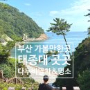 태종대유원지 제9호 공중화장실(태원휴게소옆) | 부산 놀거리 태종대 다누비열차와 전망대 &amp; 태원자갈마당