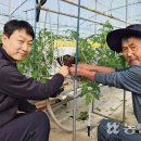 농산물판매