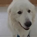 설구하우스 이미지