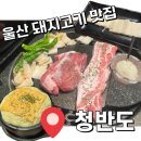 견생냥품 무인 24시 울산 매곡점 | [울산 맛집] 퀄리티 좋은 돼지고기 맛집 ‘청반도 달동점’ 내돈내산 후기!