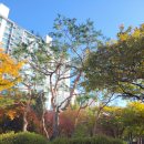 숯고개공원 이미지