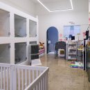 메리펫샵 이미지