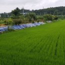 기승농장 이미지