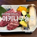 퇴계로145번길 | 춘천 소고기 맛집 투플러스 넘버나인 한우 야키니쿠승우