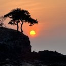 전북 부안 대표적 일몰명소 솔섬