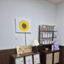 케렌시아 솔 이미지