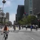 행안자동차 이미지