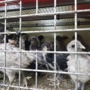 청계유통 이미지