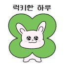 조조돈까스 네이버블로그
