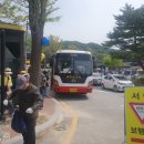 벧엘떡집 - 동구 동계천로 56-1 | [쑥헌터] 2025 양평산나물축제 (떡)후기
