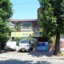 사파동239 이미지