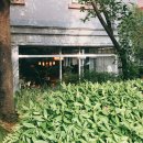 교문동 커피집 이미지