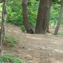 뱅뱅 홍성 Daum카페
