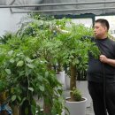 스마일화원 이미지