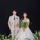 영포토 이미지