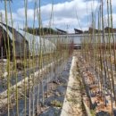 옥영농장 이미지