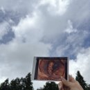 신봉암자동차종합정비 | 한달동안 비교해본 태아보험 내돈내산 가입 후기(광고아님!!)