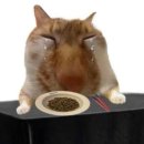 [일상] 친필 싸인본 제작 후기