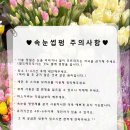 천안 속눈썹펌 잘하는 곳, 속눈썹펌 리얼후기 &#34;배네뷰티&#34;