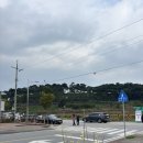 곡성묘천 | 전남 곡성, 황화코스모스 가을 꽃구경 명소 - 섬진강기차마을 동화정원🧡