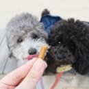 어썸포썸 네이버블로그