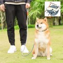 애완용품 - 종로구 종로51길 16 | 애완용품