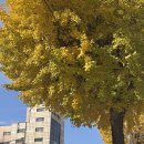 신한목욕탕 이미지