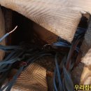 관교풍림아파트 이미지