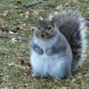 생기나라한의원 | 7월과 8월 . . . 폭폭염염