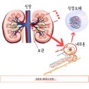 로지동물의료센터 네이버블로그