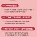 내돈내산 다낭성 이노시톨 젤리 후기; InnerB 이너비이노시톨젤리
