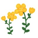삼주부동산중개사무소 네이버블로그