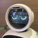 RR-840[기차마을로]-하-20 | [일본 규슈 2박 3일 패키지 여행] 가마도 지옥, 유후인 마을, 캐널시티 #1일차