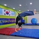 도화 태권도 이미지