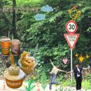 천인카 | [단양]6/20-21 1박2일 단양여행|안동휴게소,구경시장투어, 단양 고인돌펜션, 카페산, 흑마늘누룽지닭...