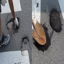 거북세차장 이미지