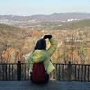 가을빛 서울대공원~♡ 25/12/3 이미지