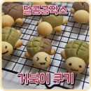 마리데이 | [달콤공작소] 귀여운 거북이 한 마리 몰고 가세요! 거북이 쿠키 - 원데이클래스 후기