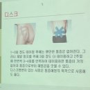 생활건강 테이핑&마사지 이미지