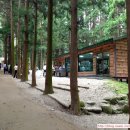 대한다원 이미지