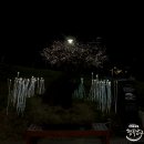 삼산우리석유