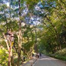 백양사진입로 | 백양사 단풍시기와 인기 포토존 장성 가볼만한 곳