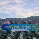 죽장시장 이미지