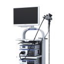 용인서현 동물병원 이미지